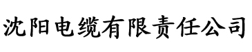 性福宝导航链电缆厂logo